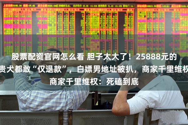 股票配资官网怎么看 胆子太大了!25888元的马尔济斯名贵犬都敢“仅退款”,白嫖男地址被扒,商家千里维权:死磕到底
