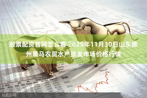 股票配资官网怎么看 2025年11月30日山东德州黑马农贸水产批发市场价格行情